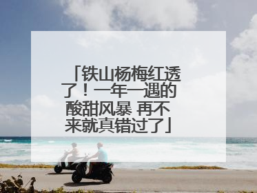 铁山杨梅红透了！一年一遇的酸甜风暴 再不来就真错过了