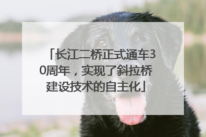 长江二桥正式通车30周年，实现了斜拉桥建设技术的自主化