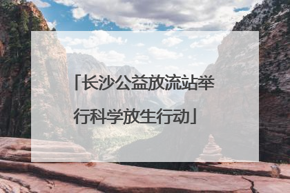 长沙公益放流站举行科学放生行动