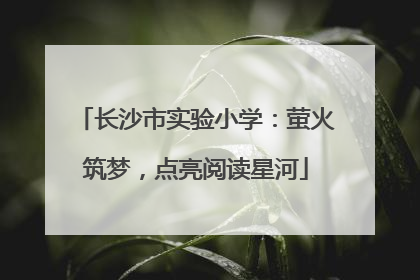 长沙市实验小学：萤火筑梦，点亮阅读星河