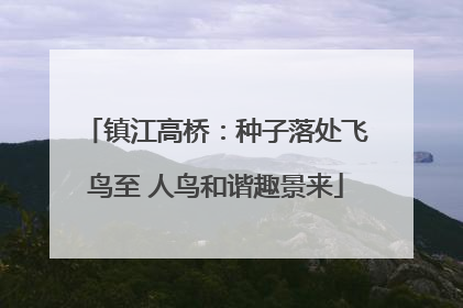 镇江高桥：种子落处飞鸟至 人鸟和谐趣景来
