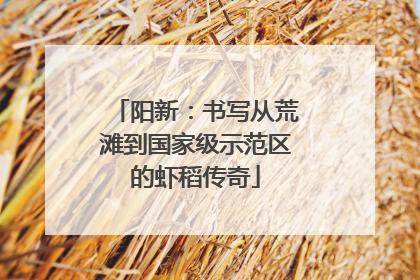 阳新：书写从荒滩到国家级示范区的虾稻传奇