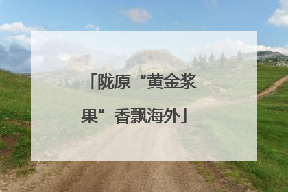 陇原“黄金浆果”香飘海外
