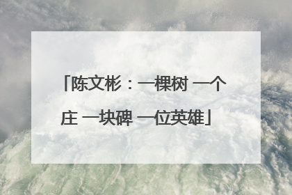 陈文彬：一棵树 一个庄 一块碑 一位英雄