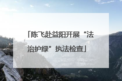 陈飞赴益阳开展“法治护绿”执法检查