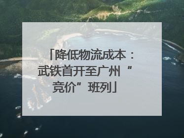 降低物流成本：武铁首开至广州“竞价”班列