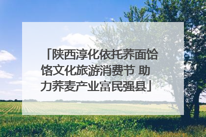 陕西淳化依托荞面饸饹文化旅游消费节 助力荞麦产业富民强县