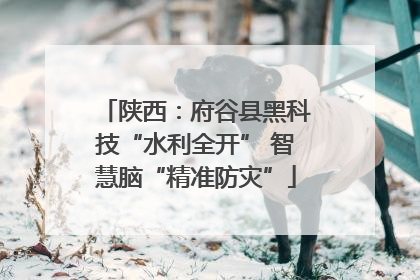 陕西：府谷县黑科技“水利全开” 智慧脑“精准防灾”