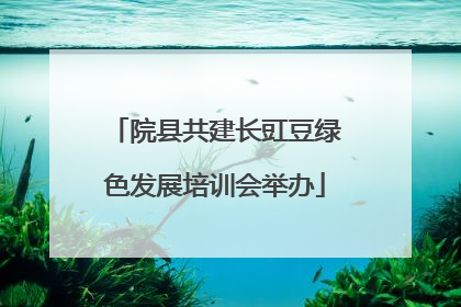院县共建长豇豆绿色发展培训会举办