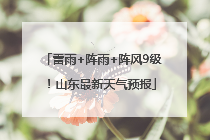 雷雨+阵雨+阵风9级！山东最新天气预报