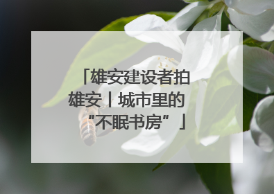 雄安建设者拍雄安丨城市里的“不眠书房”