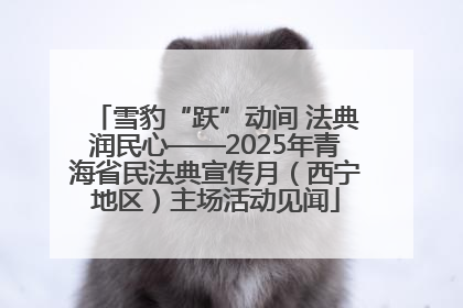 雪豹“跃”动间 法典润民心——2025年青海省民法典宣传月（西宁地区）主场活动见闻