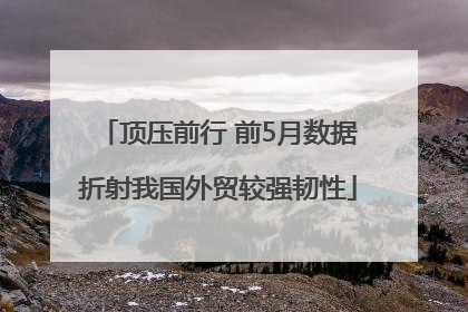 顶压前行 前5月数据折射我国外贸较强韧性