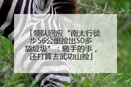 领队回应“南太行徒步56公里捡出50多袋垃圾”：随手的事，还打算去武功山捡