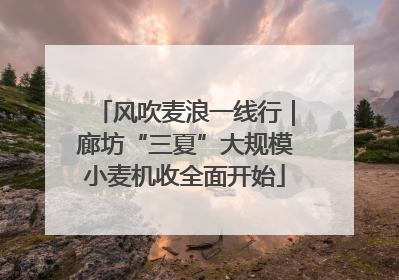 风吹麦浪一线行｜廊坊“三夏”大规模小麦机收全面开始