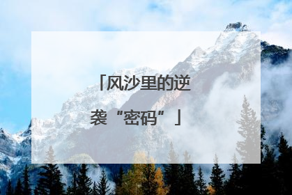 风沙里的逆袭“密码”