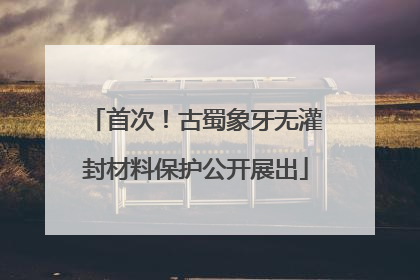 首次！古蜀象牙无灌封材料保护公开展出