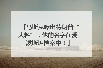 马斯克曝出特朗普“大料”：他的名字在爱泼斯坦档案中！