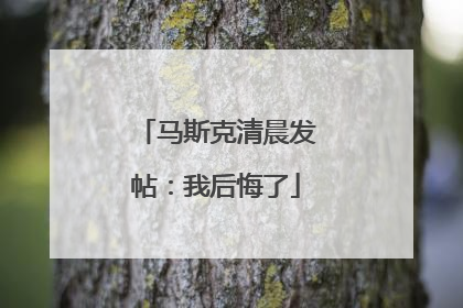 马斯克清晨发帖：我后悔了