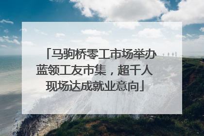 马驹桥零工市场举办蓝领工友市集，超千人现场达成就业意向
