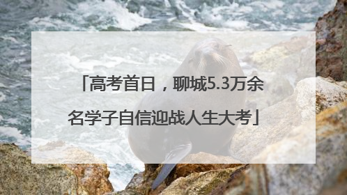 高考首日，聊城5.3万余名学子自信迎战人生大考
