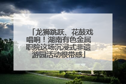 龙狮跳跃、花鼓戏唱响！湖南有色金属职院这场沉浸式非遗游园活动很带感