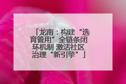 龙南：构建“选育管用”全链条闭环机制 激活社区治理“新引擎”