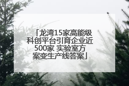 龙湾15家高能级科创平台引育企业近500家 实验室方案变生产线答案