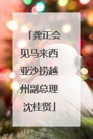 龚正会见马来西亚沙捞越州副总理沈桂贤