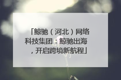 鲸驰（河北）网络科技集团：鲸驰出海，开启跨境新航程