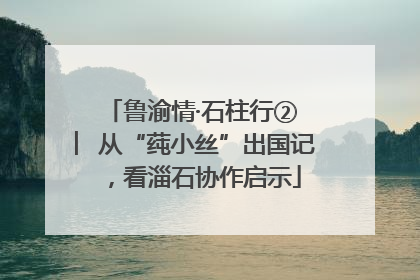 鲁渝情·石柱行② ︳从“莼小丝”出国记，看淄石协作启示