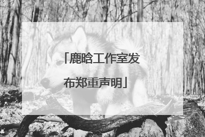 鹿晗工作室发布郑重声明