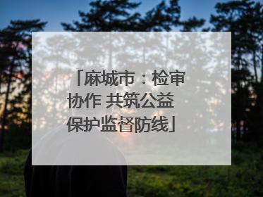 麻城市：检审协作 共筑公益保护监督防线