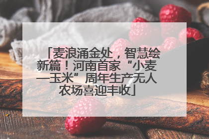 麦浪涌金处，智慧绘新篇！河南首家“小麦—玉米”周年生产无人农场喜迎丰收