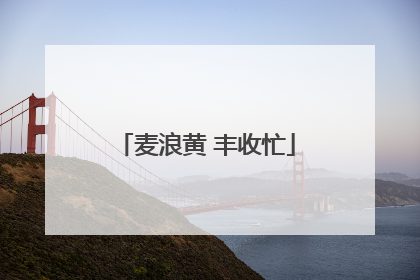 麦浪黄 丰收忙