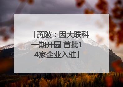 黄陂：因大联科一期开园 首批14家企业入驻