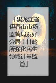 黑龙江省伊春市市场监管局友好分局上甘岭所强化民生领域计量监管