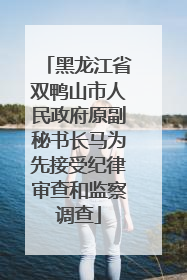 黑龙江省双鸭山市人民政府原副秘书长马为先接受纪律审查和监察调查