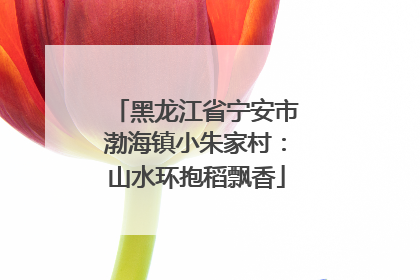 黑龙江省宁安市渤海镇小朱家村：山水环抱稻飘香