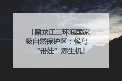 黑龙江三环泡国家级自然保护区：候鸟“带娃”添生机