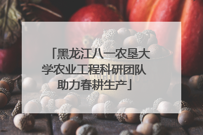黑龙江八一农垦大学农业工程科研团队助力春耕生产