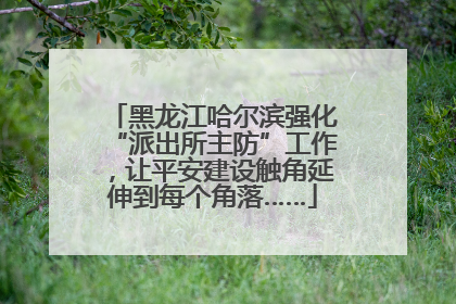 黑龙江哈尔滨强化“派出所主防”工作，让平安建设触角延伸到每个角落……