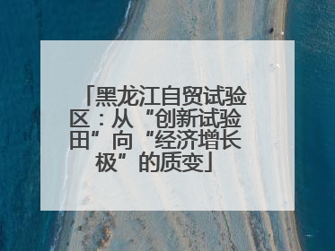 黑龙江自贸试验区：从“创新试验田”向“经济增长极”的质变