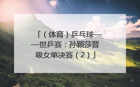 （体育）乒乓球——世乒赛：孙颖莎晋级女单决赛（2）