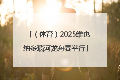 （体育）2025维也纳多瑙河龙舟赛举行