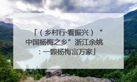 （乡村行·看振兴）“中国杨梅之乡”浙江余姚：一颗杨梅富万家