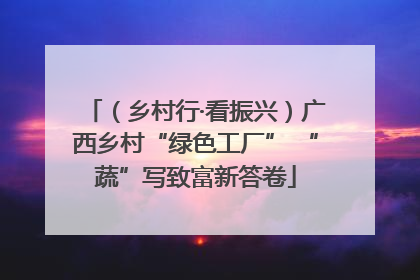 （乡村行·看振兴）广西乡村“绿色工厂” “蔬”写致富新答卷