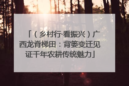 （乡村行·看振兴）广西龙脊梯田：背篓变迁见证千年农耕传统魅力