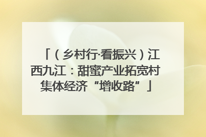 （乡村行·看振兴）江西九江：甜蜜产业拓宽村集体经济“增收路”