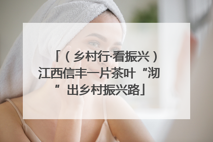 （乡村行·看振兴）江西信丰一片茶叶“沏”出乡村振兴路